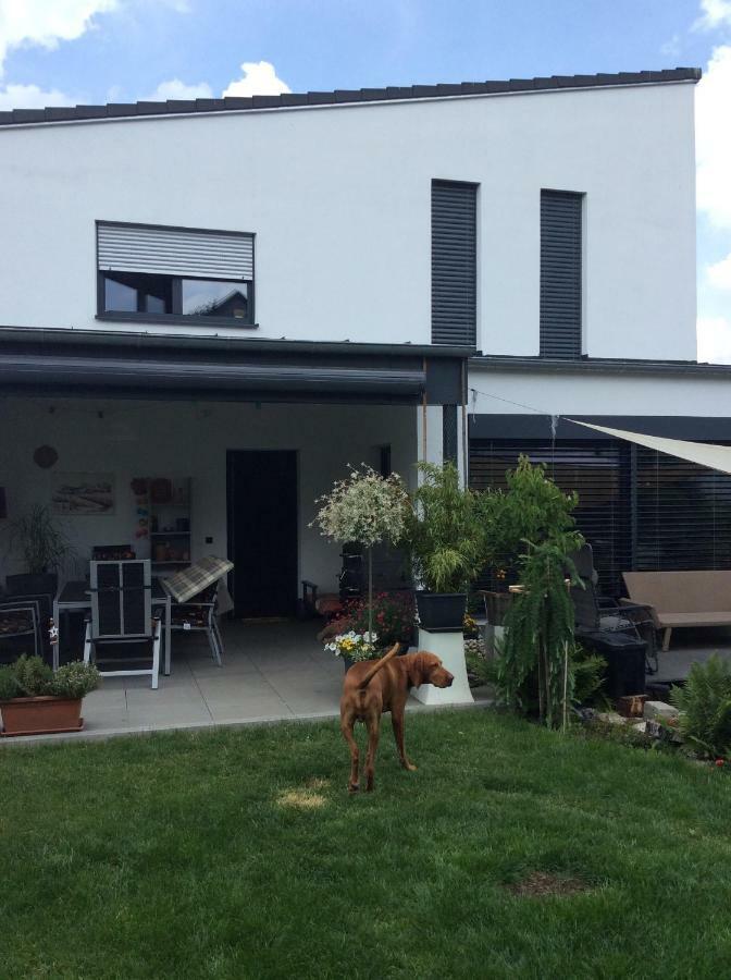Private Zimmervermietung "Appartement Rosi" Reisbach Exterior foto